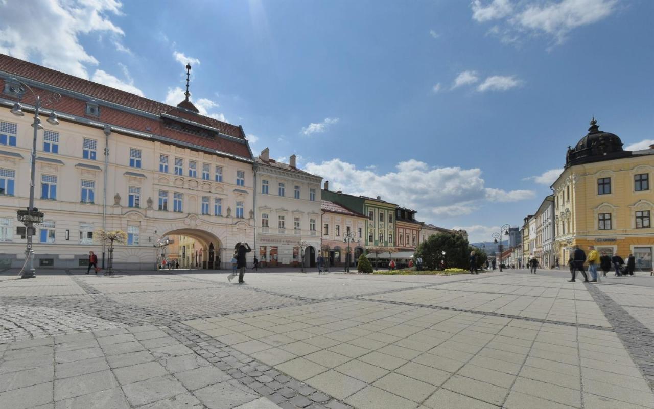 Big 75M2 Next To Opera Building In Direct Centrum, Air-Conditioned, Balcony, 24H Self Checking Banska Bystrica Luaran gambar